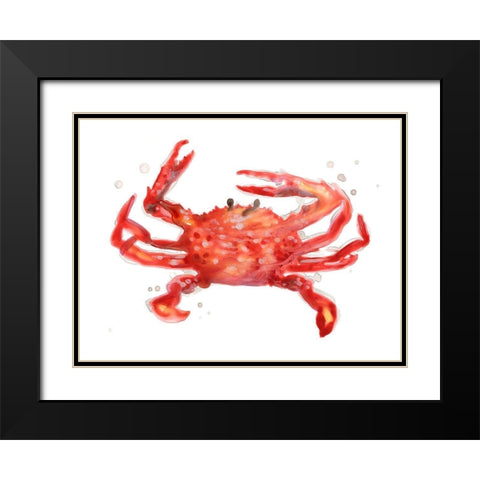 Crab Cameo IV Black Modern Wood Framed Art Print with Double Matting by Vess, June Erica