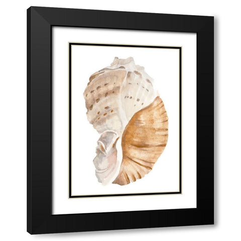 Seashell I Black Modern Wood Framed Art Print with Double Matting by Warren, Annie