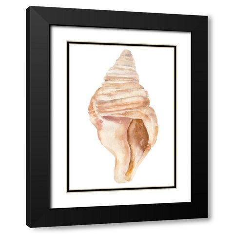 Seashell II Black Modern Wood Framed Art Print with Double Matting by Warren, Annie