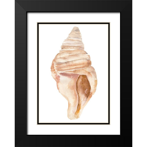 Seashell II Black Modern Wood Framed Art Print with Double Matting by Warren, Annie