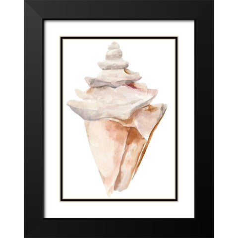 Seashell III Black Modern Wood Framed Art Print with Double Matting by Warren, Annie