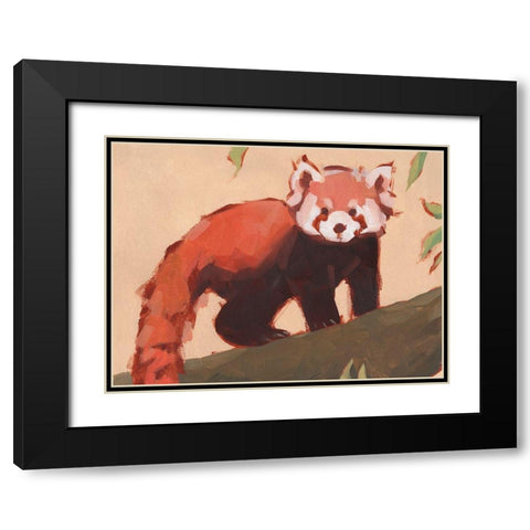 Red Panda I Black Modern Wood Framed Art Print with Double Matting by Green, Jacob