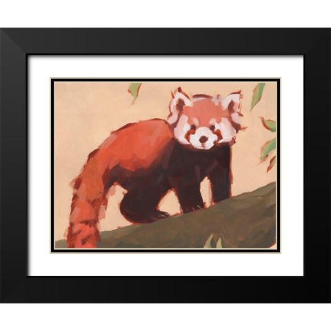 Red Panda I Black Modern Wood Framed Art Print with Double Matting by Green, Jacob