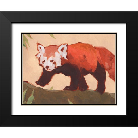 Red Panda II Black Modern Wood Framed Art Print with Double Matting by Green, Jacob