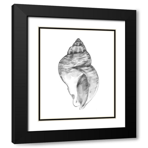 Quiet Conch I Black Modern Wood Framed Art Print with Double Matting by Caroline, Emma