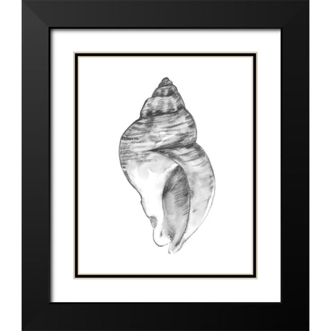 Quiet Conch I Black Modern Wood Framed Art Print with Double Matting by Caroline, Emma