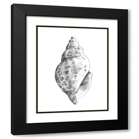Quiet Conch II Black Modern Wood Framed Art Print with Double Matting by Caroline, Emma