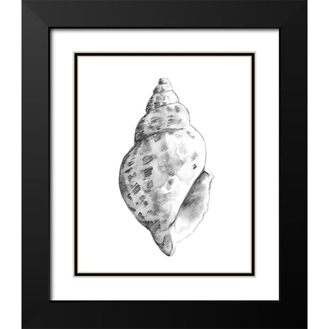 Quiet Conch II Black Modern Wood Framed Art Print with Double Matting by Caroline, Emma