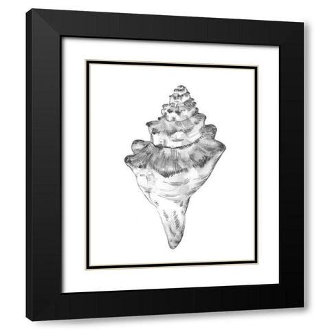 Quiet Conch III Black Modern Wood Framed Art Print with Double Matting by Caroline, Emma