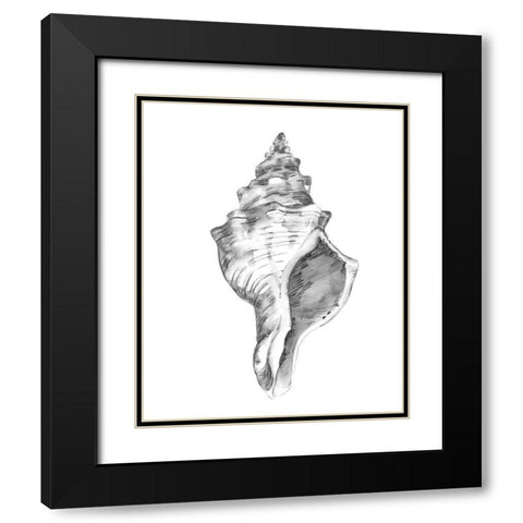 Quiet Conch IV Black Modern Wood Framed Art Print with Double Matting by Caroline, Emma