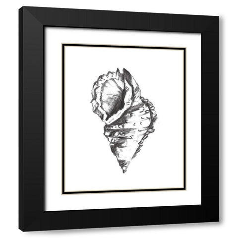 Seashell Study I Black Modern Wood Framed Art Print with Double Matting by Wang, Melissa