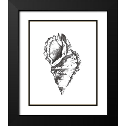 Seashell Study I Black Modern Wood Framed Art Print with Double Matting by Wang, Melissa