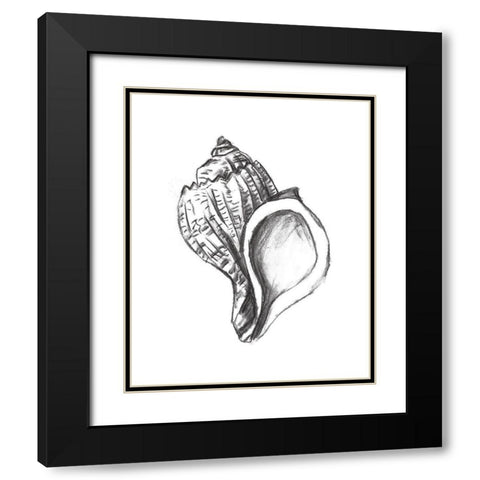 Seashell Study II Black Modern Wood Framed Art Print with Double Matting by Wang, Melissa