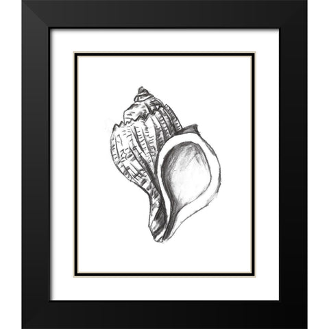 Seashell Study II Black Modern Wood Framed Art Print with Double Matting by Wang, Melissa