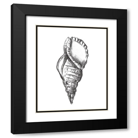 Seashell Study III Black Modern Wood Framed Art Print with Double Matting by Wang, Melissa