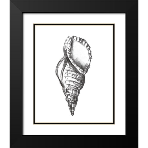 Seashell Study III Black Modern Wood Framed Art Print with Double Matting by Wang, Melissa