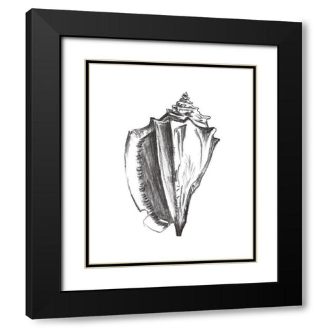 Seashell Study IV Black Modern Wood Framed Art Print with Double Matting by Wang, Melissa