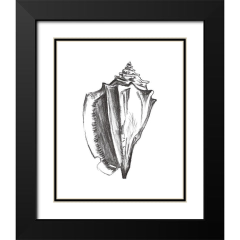 Seashell Study IV Black Modern Wood Framed Art Print with Double Matting by Wang, Melissa