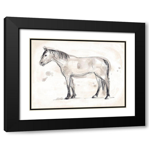 Vintage Equine Sketch I Black Modern Wood Framed Art Print with Double Matting by Vess, June Erica