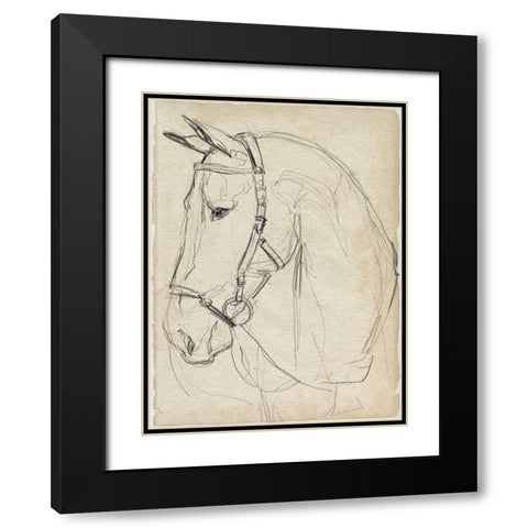 Horse in Bridle Sketch II Black Modern Wood Framed Art Print with Double Matting by Parker, Jennifer Paxton