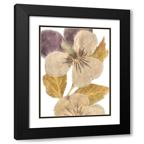 Neutral Pansy I Black Modern Wood Framed Art Print with Double Matting by Saunders, Alonzo