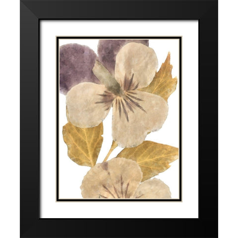 Neutral Pansy I Black Modern Wood Framed Art Print with Double Matting by Saunders, Alonzo