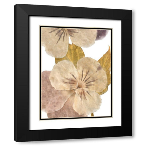 Neutral Pansy II Black Modern Wood Framed Art Print with Double Matting by Saunders, Alonzo