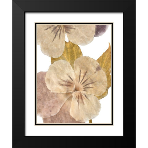 Neutral Pansy II Black Modern Wood Framed Art Print with Double Matting by Saunders, Alonzo