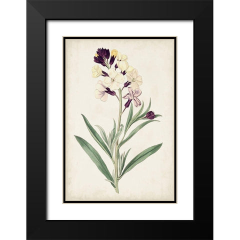 Antique Botanical Collection VII Black Modern Wood Framed Art Print with Double Matting by Ridgeway