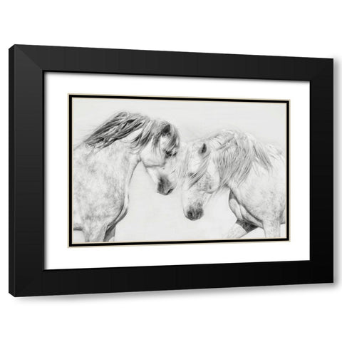 Equine Portrait I Black Modern Wood Framed Art Print with Double Matting by PHBurchett