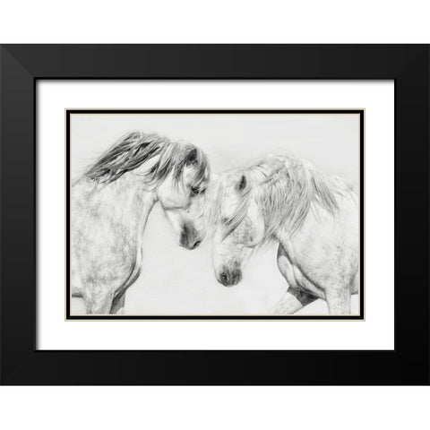Equine Portrait I Black Modern Wood Framed Art Print with Double Matting by PHBurchett