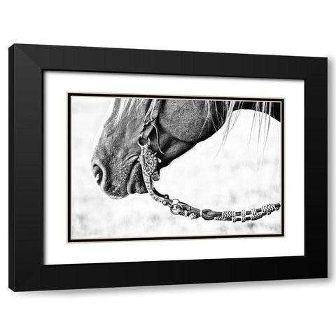 Equine Portrait II Black Modern Wood Framed Art Print with Double Matting by PHBurchett