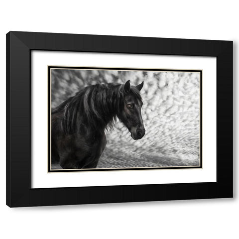 Equine Portrait III Black Modern Wood Framed Art Print with Double Matting by PHBurchett
