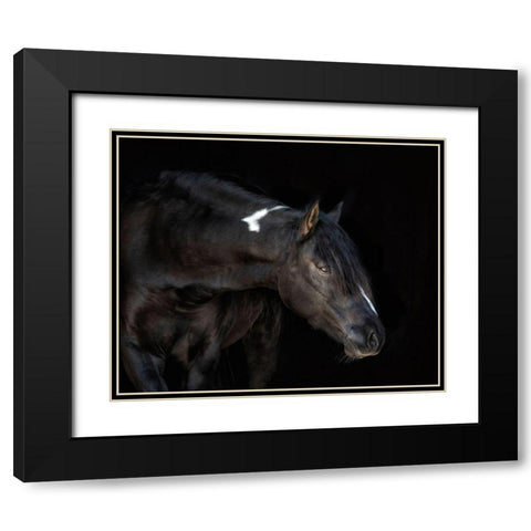 Equine Portrait IV Black Modern Wood Framed Art Print with Double Matting by PHBurchett