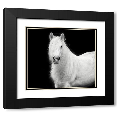 Equine Portrait V Black Modern Wood Framed Art Print with Double Matting by PHBurchett