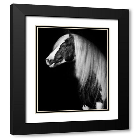 Equine Portrait VII Black Modern Wood Framed Art Print with Double Matting by PHBurchett