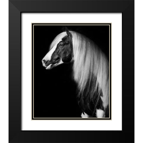 Equine Portrait VII Black Modern Wood Framed Art Print with Double Matting by PHBurchett