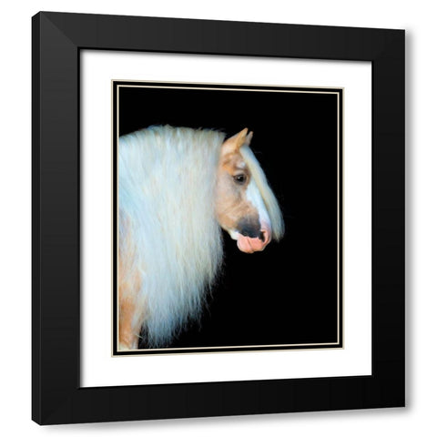 Equine Portrait VIII Black Modern Wood Framed Art Print with Double Matting by PHBurchett