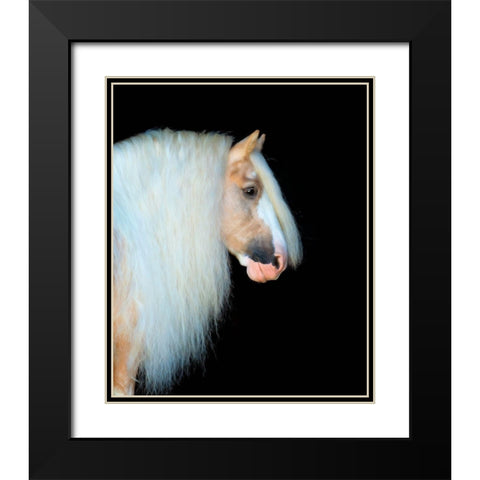 Equine Portrait VIII Black Modern Wood Framed Art Print with Double Matting by PHBurchett