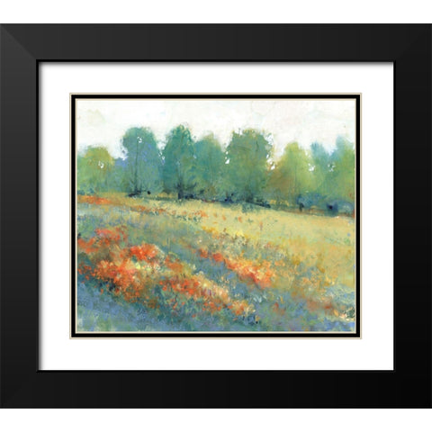 Rural Land I Black Modern Wood Framed Art Print with Double Matting by OToole, Tim