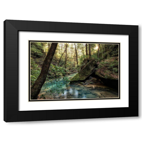 Filtered Light I Black Modern Wood Framed Art Print with Double Matting by Head, Danny