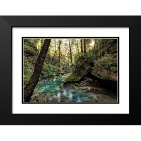 Filtered Light I Black Modern Wood Framed Art Print with Double Matting by Head, Danny