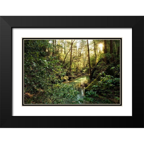 Filtered Light II Black Modern Wood Framed Art Print with Double Matting by Head, Danny