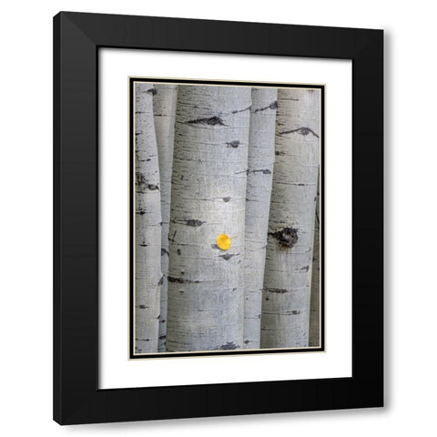 Stuck On You Black Modern Wood Framed Art Print with Double Matting by Head, Danny