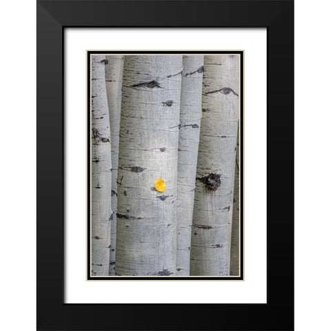 Stuck On You Black Modern Wood Framed Art Print with Double Matting by Head, Danny