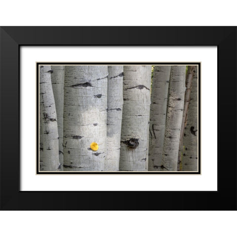 Stuck On You Too Black Modern Wood Framed Art Print with Double Matting by Head, Danny