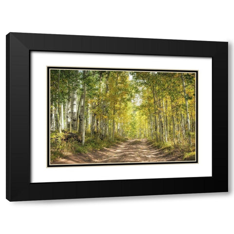 Aspen Drive Black Modern Wood Framed Art Print with Double Matting by Head, Danny