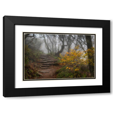 Stone Steps Black Modern Wood Framed Art Print with Double Matting by Head, Danny
