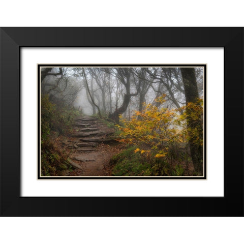 Stone Steps Black Modern Wood Framed Art Print with Double Matting by Head, Danny