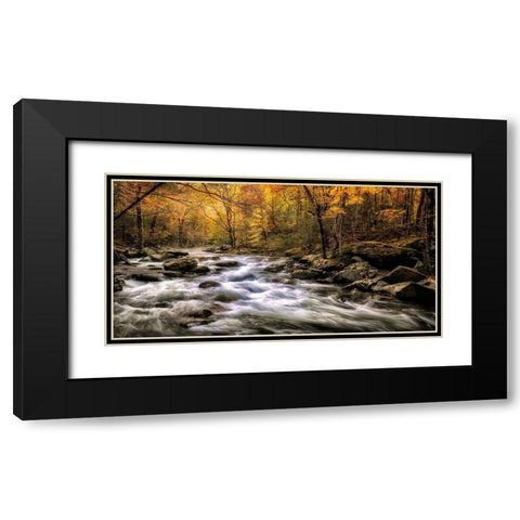 Autumn Bliss Black Modern Wood Framed Art Print with Double Matting by Head, Danny